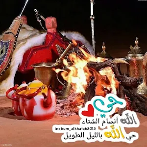 خلفيات الشتاء Screenshot 1