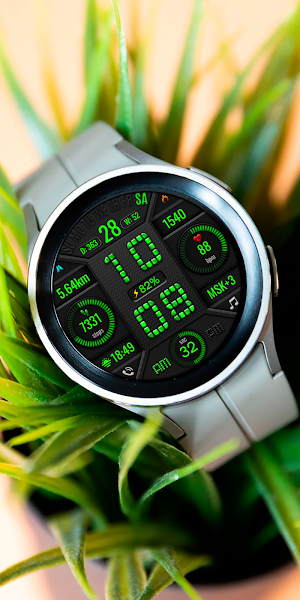 DIGI GARAMIN WS73 Watch face Screenshot 3