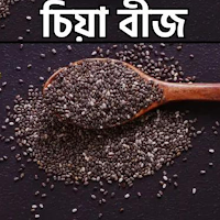চিয়া বীজ পুষ্টিগুণ ও উপকারিতা