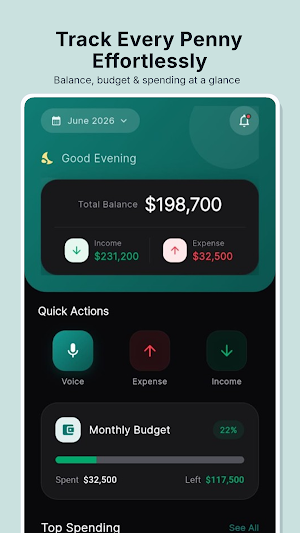 BudgetVoice: Expense Tracker Screenshot 0