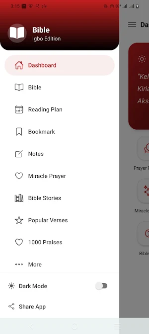 Igbo Bible Offline & Audio Screenshot 1
