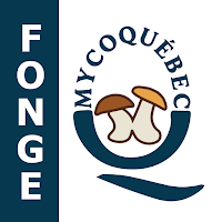 La Fonge - Mycoquébec