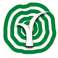Timber Cargo