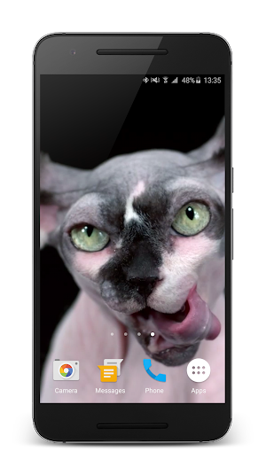Sphynx Cat Live Wallpaper Screenshot 1