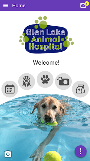 Glen Lake Animal Hospital Screenshot 0