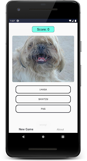 Dogs Quiz: Guess and Learn the Dogs Breeds Screenshot 0