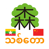 Learn Chinese For Myanmar Easy