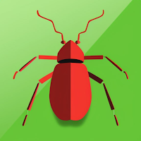 Identify This Bug