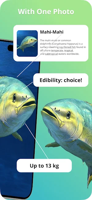 Identify Fish Screenshot 1