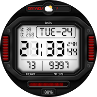 DIGI CTRONIC WS56 Watch face