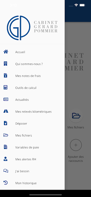 Cabinet Gérard Pommier Screenshot 1
