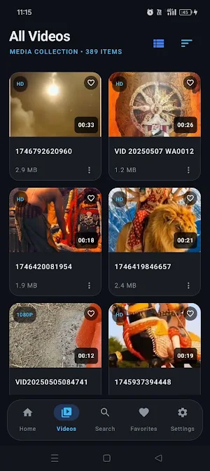 Video Player Screenshot 1