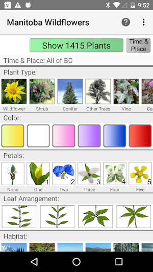 Manitoba Wildflowers Screenshot 0