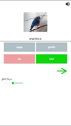تعلم اللغة الإنكليزية للمبتدئين Screenshot 3