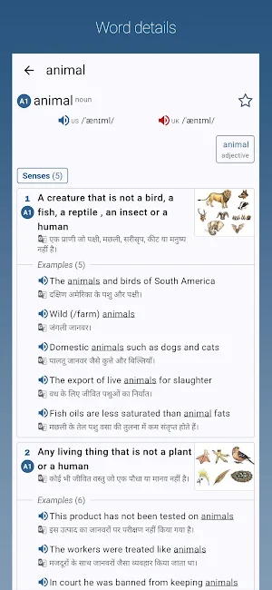 English-Hindi Dictionary Pro Screenshot 0