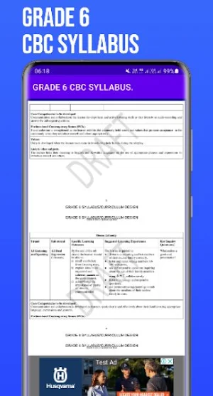 Grade 6 CBC Syllabus Guide Screenshot 3