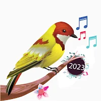 Birds Sounds & Birds Ringtones
