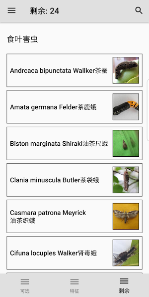 Camellia Pest ID Screenshot 0