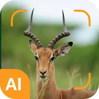 Animal identifier