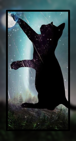 Black Cat Wallpaper Cute HD Screenshot 3