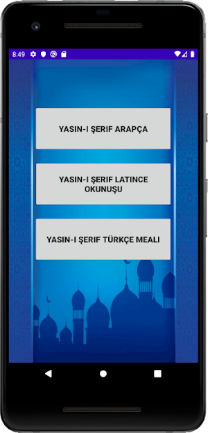 Yasin Suresi Sesli Screenshot 0
