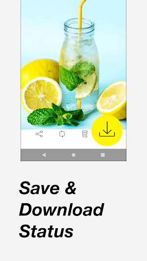 Status Saver for WhatsApp, Save WhatsApp Statuses Screenshot 1