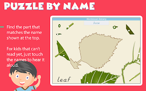 Montessori Botany - Parts of P Screenshot 3