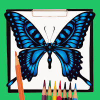 How to Draw an Easy Butterfly
