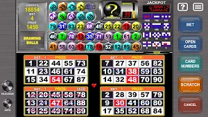 Video Bingo Mega Ball Flex Screenshot 2