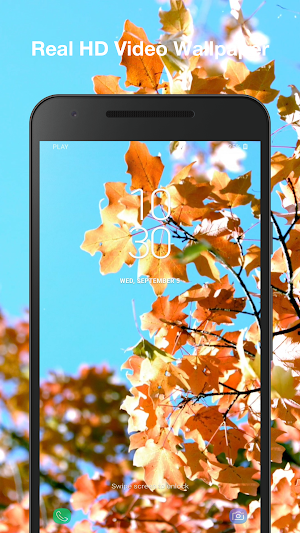 Falling Leaves Live Wallpaper Screenshot 2