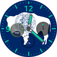 Wyoming Flag Watchface