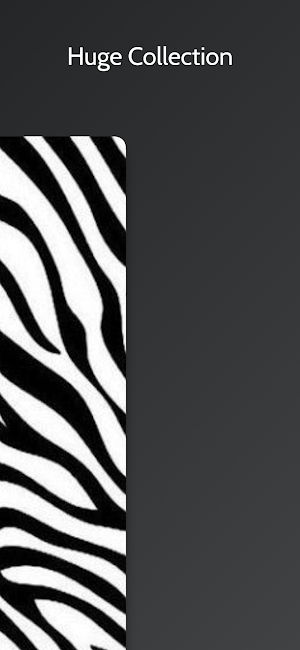 Zebra Print Backgrounds Screenshot 2