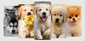 Puppy Live Wallpaper Parallax Screenshot 0