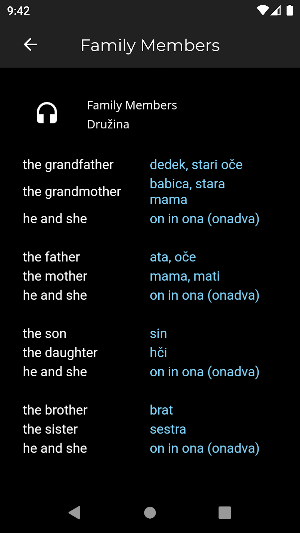 Fast - Speak Slovene Language Screenshot 2