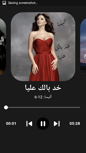 اغاني اليسا ايامي بيك بدون نت Screenshot 3