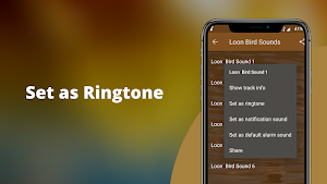Loon Sounds Screenshot 3