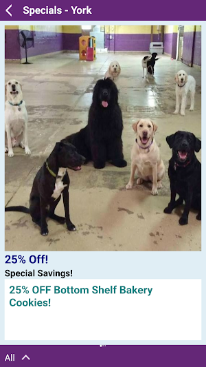 Morgan's Paws Pet Care Center Screenshot 3