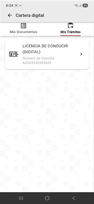 App Oaxaca Screenshot 2