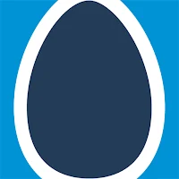 NestEggs IRA