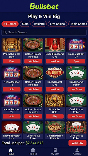 Bullsbet Screenshot 1