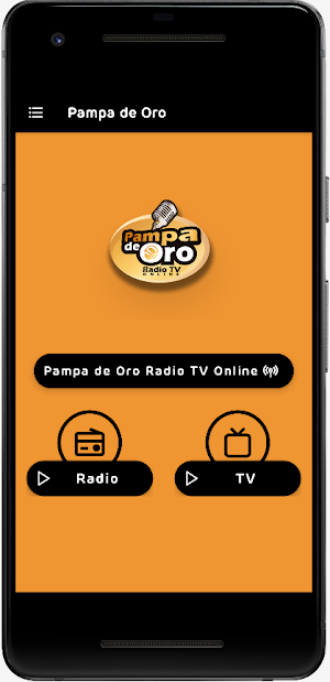 Pampa de Oro Radio TV Online Screenshot 1