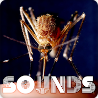 Mosquito Sound Ringtones