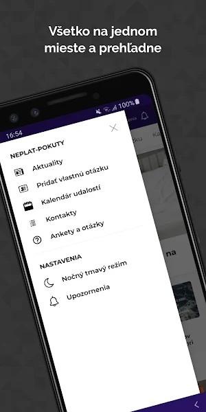 NEPLAT-POKUTY Screenshot 1