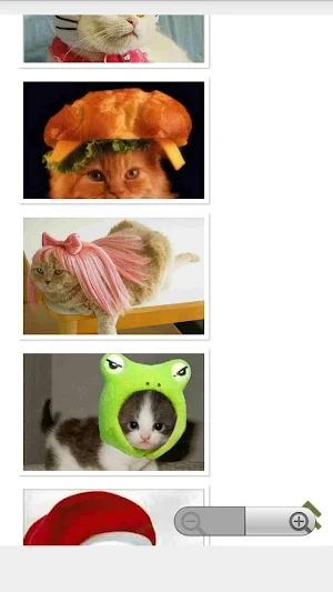 Cats Costume Design Offline Screenshot 3