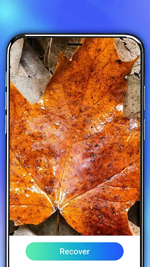 File Recovery: Restore Photos Screenshot 3