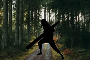 Guess Shinobi 2024 Screenshot 3