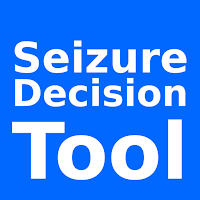 Seizure Decision Tool