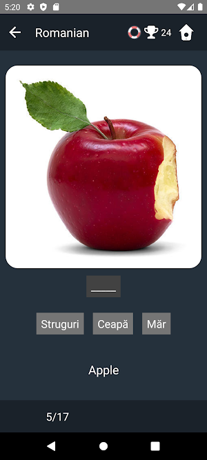 Romanian Language Tests Screenshot 3