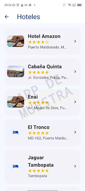 Guía Puerto Maldonado Screenshot 2