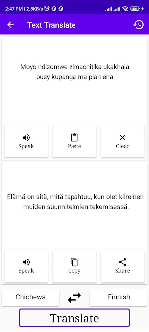 Chichewa To Finnish Translator Screenshot 1